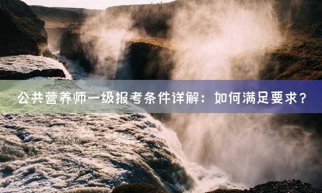 公共营养师一级报考条件详解：如何满足要求？