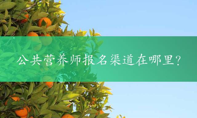 公共营养师报名渠道在哪里？