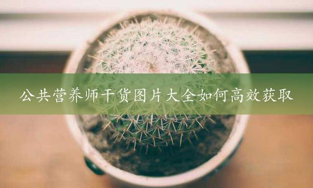 公共营养师干货图片大全如何高效获取