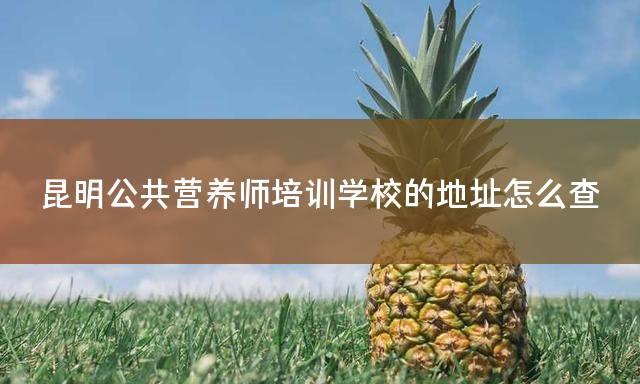 昆明公共营养师培训学校的地址怎么查