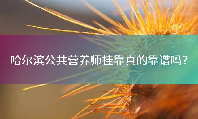 哈尔滨公共营养师挂靠真的靠谱吗？