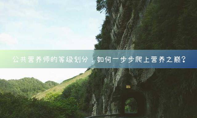 公共营养师的等级划分：如何一步步爬上营养之巅？