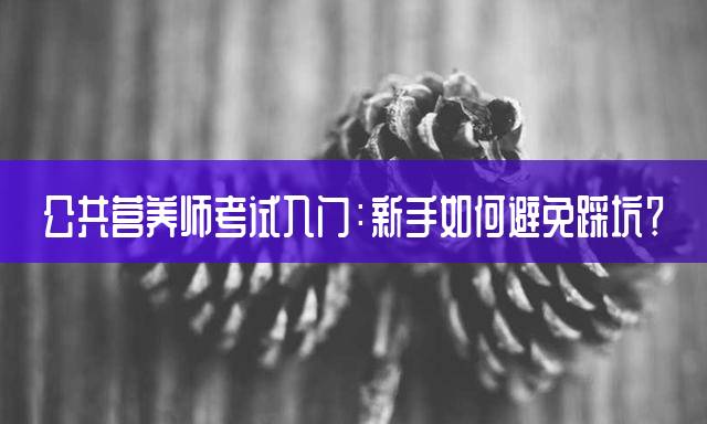 公共营养师考试入门：新手如何避免踩坑？