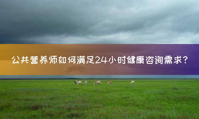 公共营养师如何满足24小时健康咨询需求？