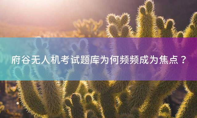 府谷无人机考试题库为何频频成为焦点？