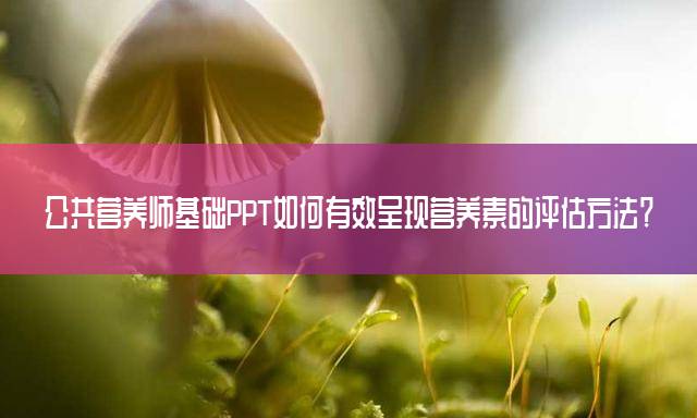 公共营养师基础PPT如何有效呈现营养素的评估方法？