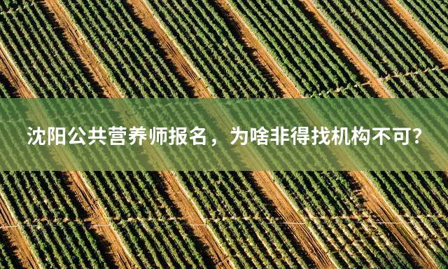 沈阳公共营养师报名，为啥非得找机构不可？