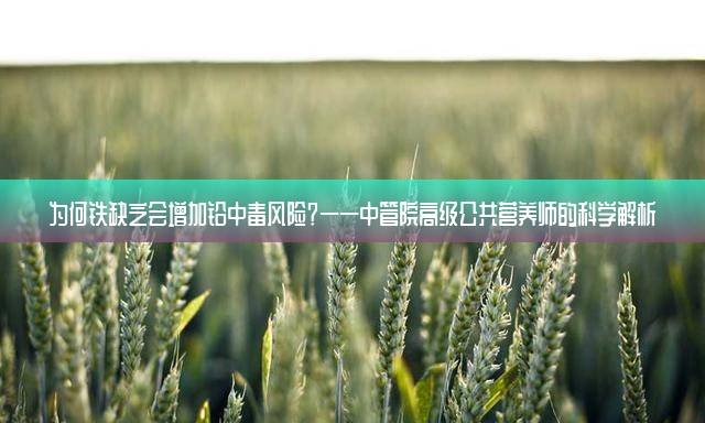 为何铁缺乏会增加铅中毒风险？——中管院高级公共营养师的科学解析