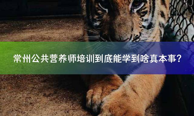 常州公共营养师培训到底能学到啥真本事？