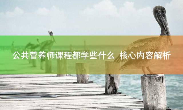 公共营养师课程都学些什么？核心内容解析