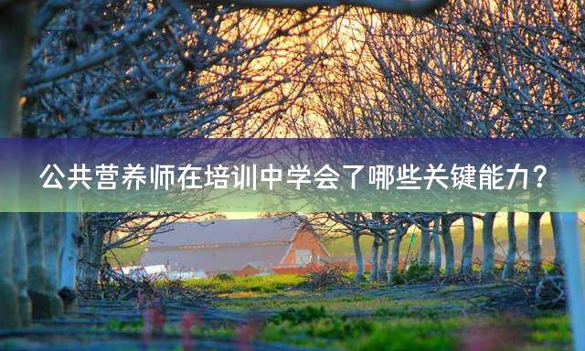 公共营养师在培训中学会了哪些关键能力？