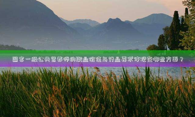 国家一级公共营养师的职业价值与行业要求体现在哪些方面？