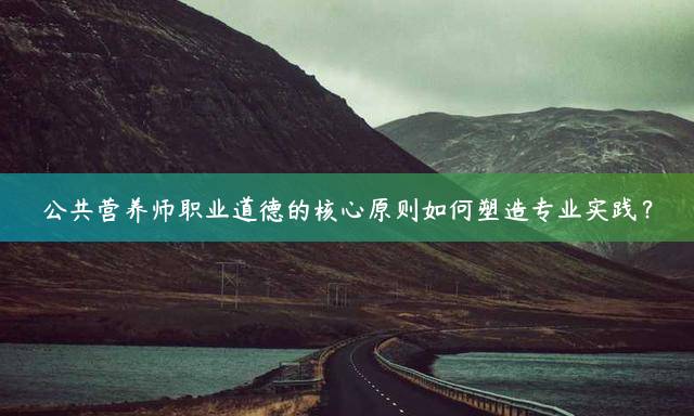 公共营养师职业道德的核心原则如何塑造专业实践？