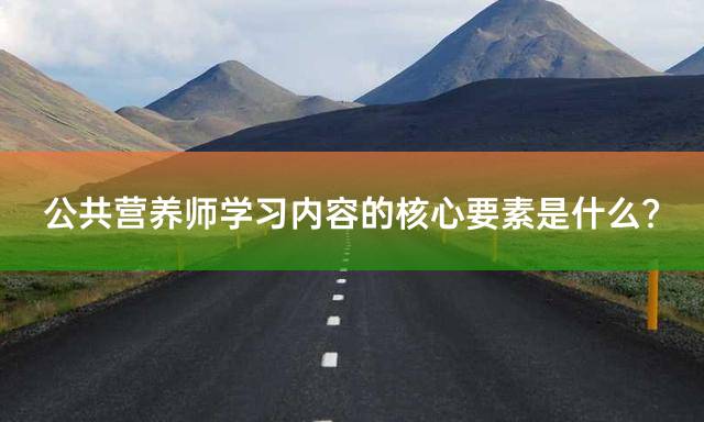 公共营养师学习内容的核心要素是什么？