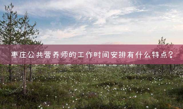 枣庄公共营养师的工作时间安排有什么特点？