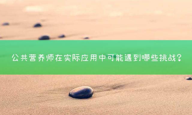 公共营养师在实际应用中可能遇到哪些挑战？