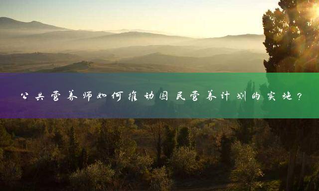 公共营养师如何推动国民营养计划的实施？