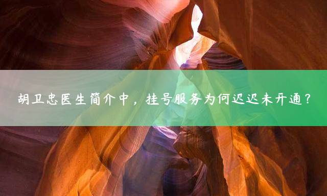 胡卫忠医生简介中，挂号服务为何迟迟未开通？