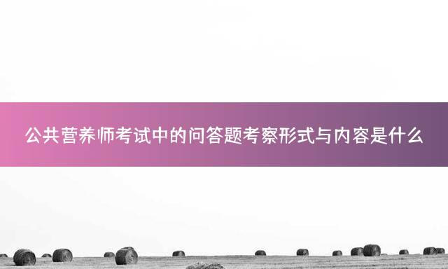 公共营养师考试中的问答题考察形式与内容是什么？