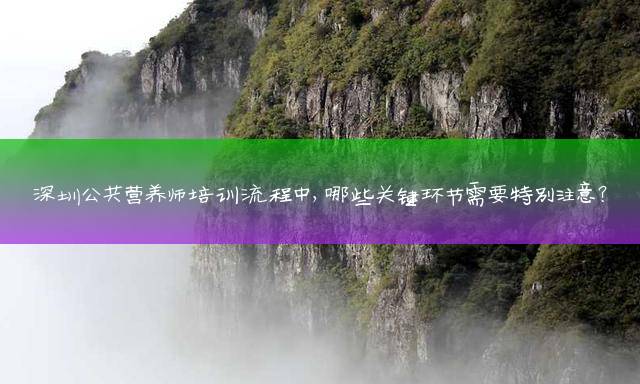 深圳公共营养师培训流程中，哪些关键环节需要特别注意？