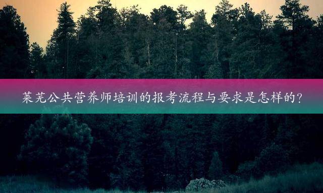 莱芜公共营养师培训的报考流程与要求是怎样的？