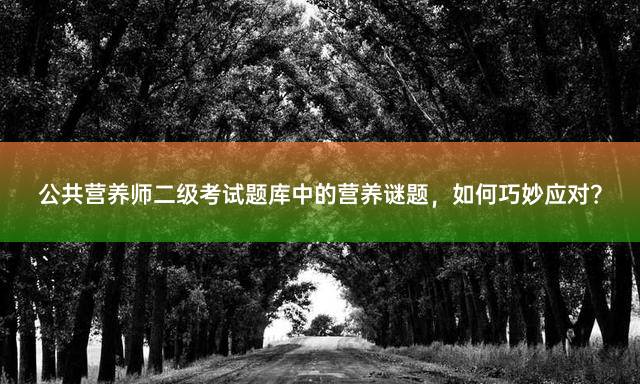 公共营养师二级考试题库中的营养谜题，如何巧妙应对？