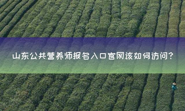 山东公共营养师报名入口官网该如何访问？