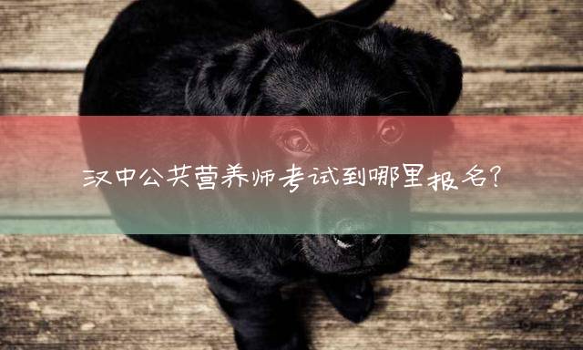 汉中公共营养师考试到哪里报名？