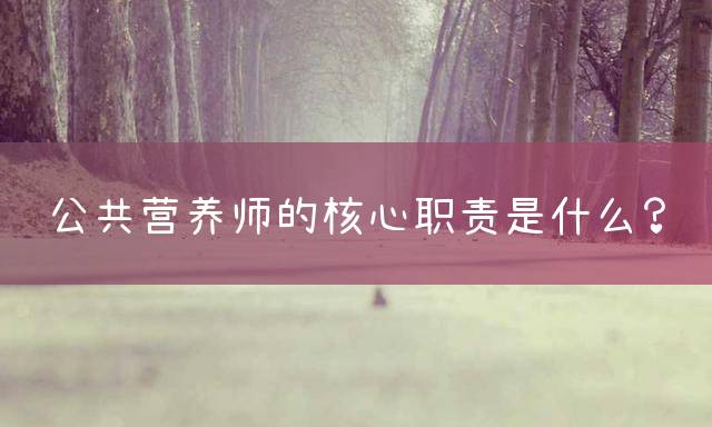 公共营养师的核心职责是什么？