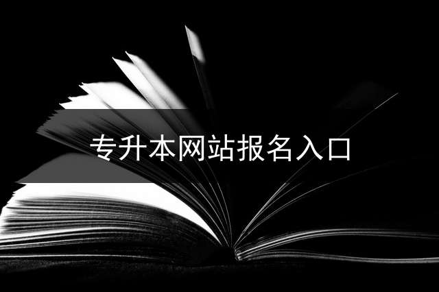 专升本网站报名入口？