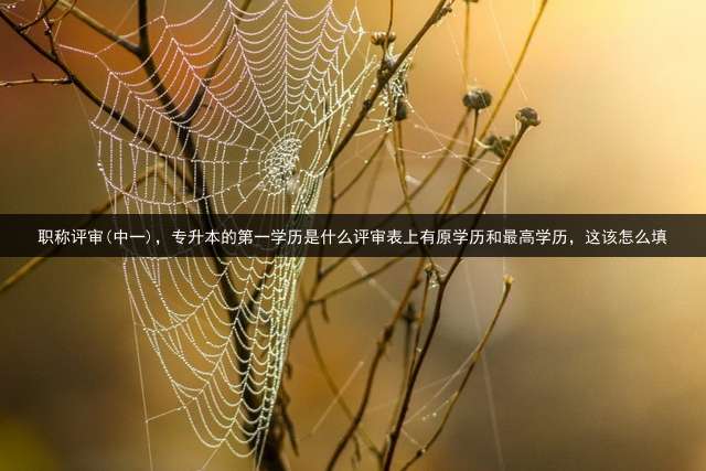 职称评审(中一)，专升本的第一学历是什么？评审表上有原学历和最高学历，这该怎么填？