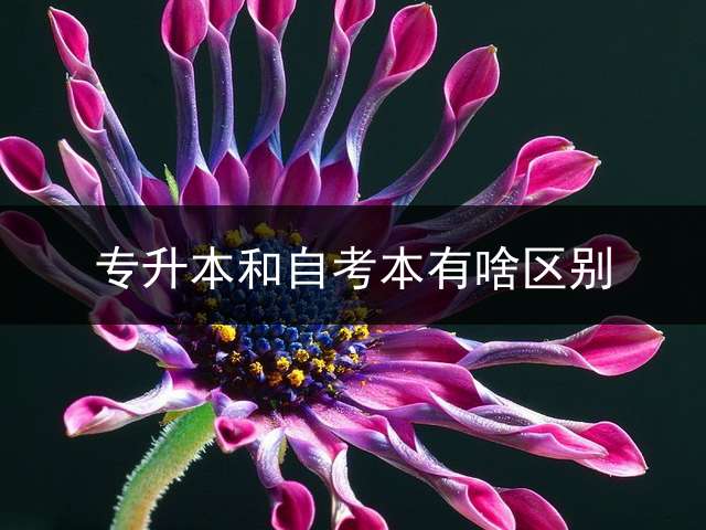 专升本和自考本有啥区别？ 自考本科与统招专升本的区别？