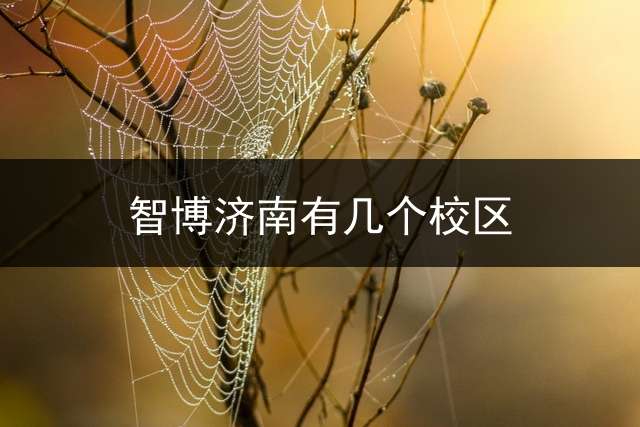 智博济南有几个校区？