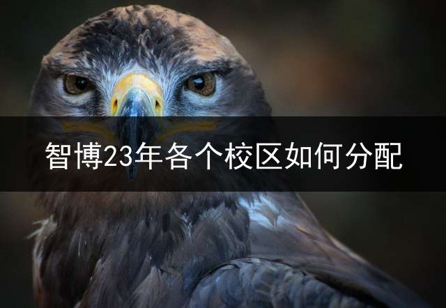 智博23年各个校区如何分配？
