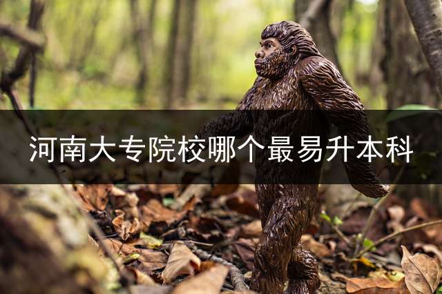 河南大专院校哪个最易升本科？