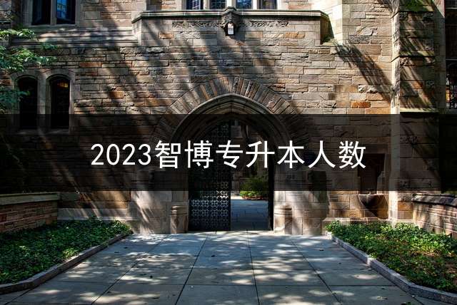 2023智博专升本人数？