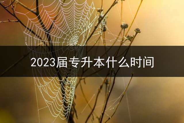 2023届专升本什么时间？ 河南专升本改时间了，该怎么准备？