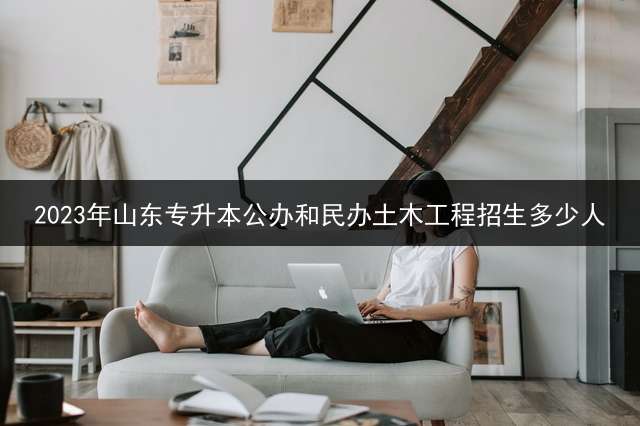 2023年山东专升本公办和民办土木工程招生多少人？