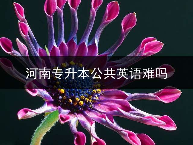 河南专升本公共英语难吗？ 河南专升本的英语科目试题都一样吗？