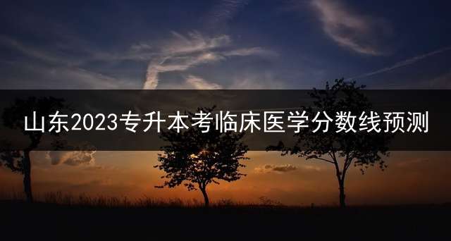 山东2023专升本考临床医学分数线预测？