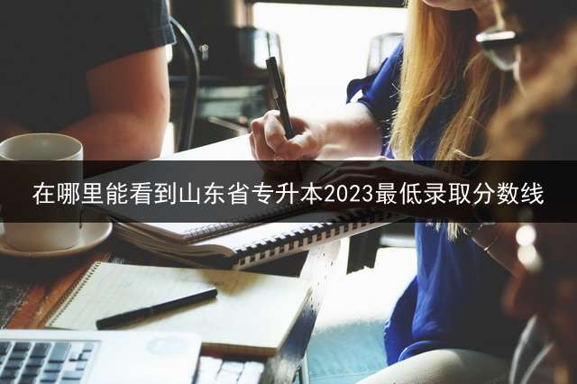 在哪里能看到山东省专升本2023最低录取分数线？