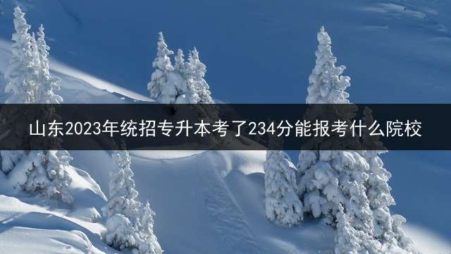 山东2023年统招专升本考了234分能报考什么院校？