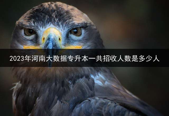 2023年河南大数据专升本一共招收人数是多少人？ 2022专升本考试会提前吗？