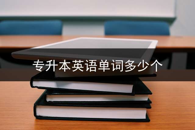 专升本英语单词多少个？