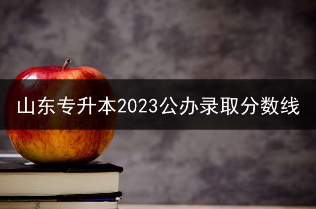 山东专升本2023公办录取分数线？