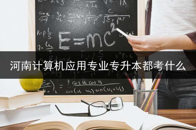 河南计算机应用专业专升本都考什么？