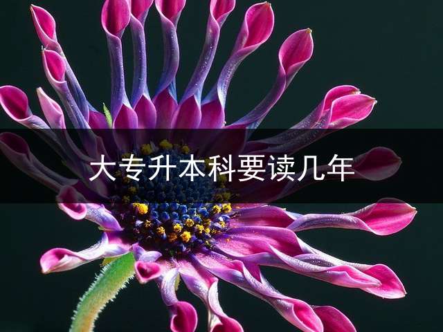 大专升本科要读几年？