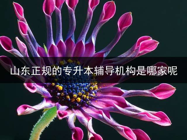 山东正规的专升本辅导机构是哪家呢？ 大家说一下，山东专升本辅导班哪个好啊？