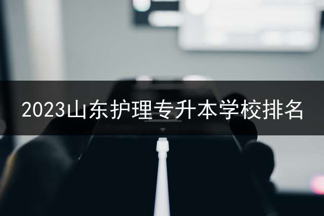 2023山东护理专升本学校排名？