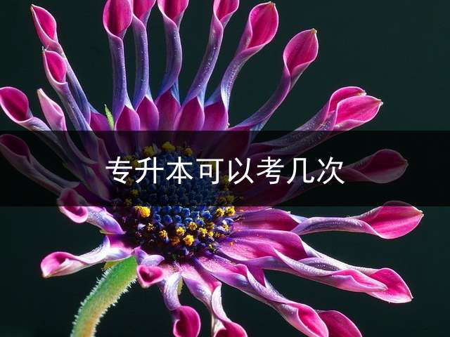 专升本可以考几次？